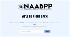 Desktop Screenshot of naabpp.org